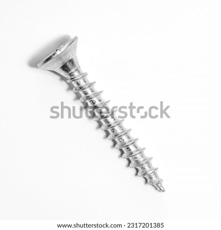 Closeup of metal screw with shadow on white background. Royalty-Free Stock Photo #2317201385