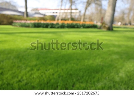 Blurred view of beautiful park on sunny day