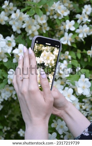person taking a picture of a flower