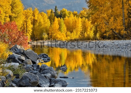 Usa, washington state, methow valley and river edged in fall colored trees.