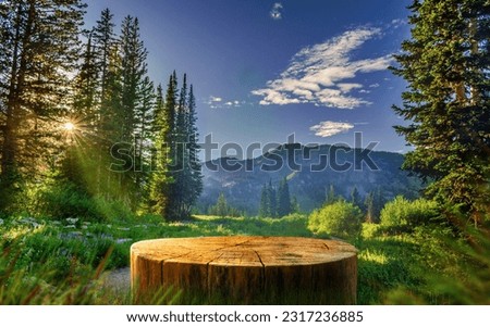 Tree Table wood Podium in farm display for food, perfume, and other products on nature background, Table in a farm with grass, trees, and Sunlight in the morning	
 Royalty-Free Stock Photo #2317236885