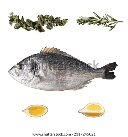 Set of fish dorado, lemon, rosemary, thyme and herbs isolated on white background with clipping path. Full Depth of field. Focus stacking.