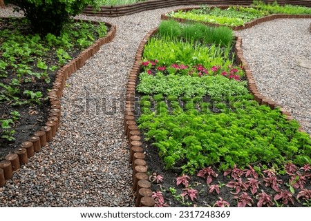 Ornamental garden, a fragment of a landscape park. Edible plants in the flower beds. Royalty-Free Stock Photo #2317248369