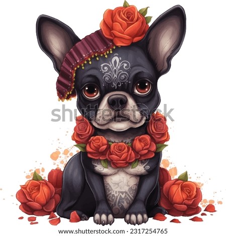 Cute pet, adorable animal, wearing beautiful Mexican cloth