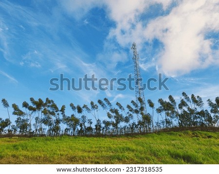 The BTS or telecommunications tower is in the middle of the trees with a bright blue sky as a background. Blue sky and trees. Clear blue sky with white Clouds.