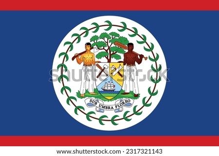 Flag of Belize - Vector illustration. Royalty-Free Stock Photo #2317321143