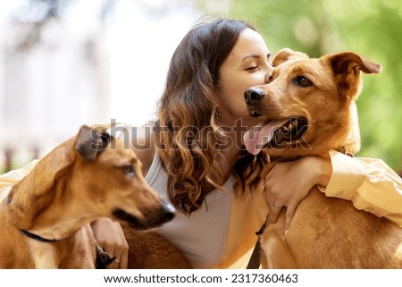 Charming young smiling girl plays and hugs two golden-colored dogs in the park on a sunny day. Love between owner and pet. Raising pets taken from a shelter. Close-up. Royalty-Free Stock Photo #2317360463