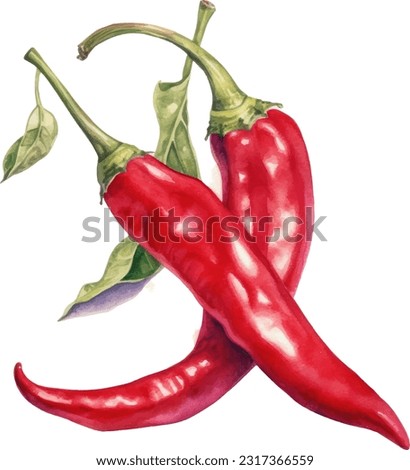 Red chilliesred chili peppers watercolor illustration. Hand drawn underwater element design. Artistic vector marine design element. Illustration for greeting cards,  Royalty-Free Stock Photo #2317366559