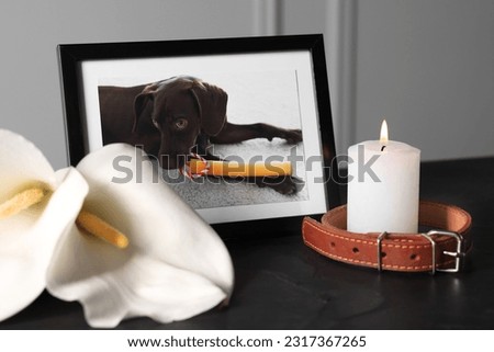 Frame with picture of dog, collar, burning candles and calla flowers on black table, closeup. Pet funeral