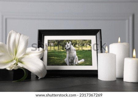 Frame with picture of dog, burning candles and lily flower on black table. Pet funeral