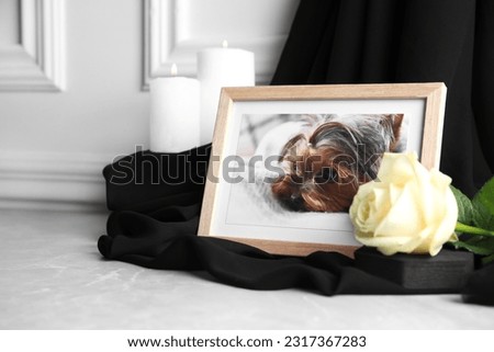 Frame with picture of dog, burning candles and rose flower on light grey table, space for text. Pet funeral