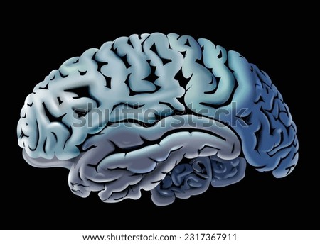 Human brain Illustration vector clip art image 