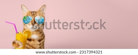 Charming Bengal cat with glasses and orange juice in its paws. Copy space.