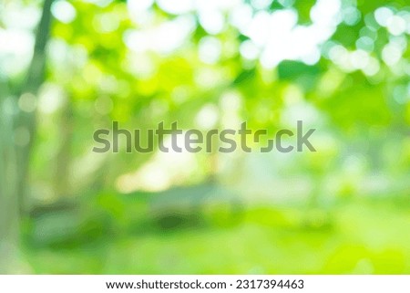 Abstract blur city park bokeh background,blur defocused park garden tree in nature background,Nature of green leaf in garden at summer.