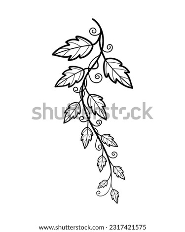 Climbing plant branch hand drawn art. Sketch. Beautiful vector illustration in graphic style.