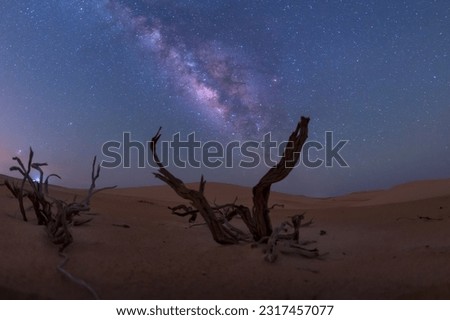 Milky way behind dead tree branches and sand dune in the desert. Royalty-Free Stock Photo #2317457077