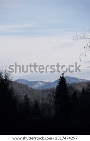 Ukrainian Carpathian mountains in spring