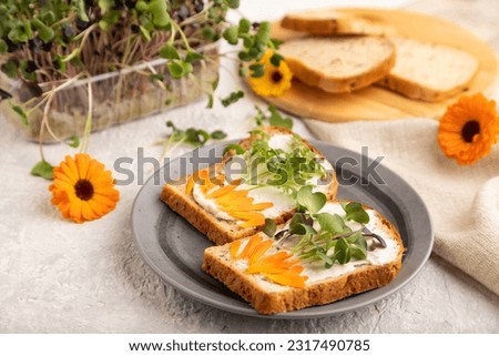 White bread sandwiches with cream cheese, calendula petals and microgreen radish and tagetes on gray concrete background and linen textile. side view, selective focus.