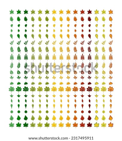 Big set of leaves. Summer and autumn leaves. Clip art of fall leaves. Isolated vector illustration eps 10