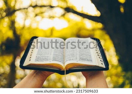 Christian woman holds bible in her hands. Reading the Holy Bible in a field during beautiful sunset. Concept for faith, spirituality and religion. Peace, hope. Royalty-Free Stock Photo #2317509633