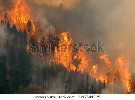 Mountainside of trees engulfed in fire in Montana Royalty-Free Stock Photo #2317541595