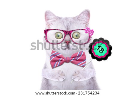 Smart beautiful british cat with a sign. Days of the month. Funny animals. Trendy cat dressed in beautiful clothes
