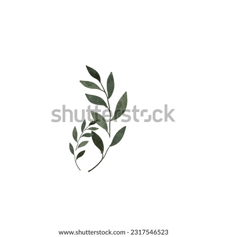leaf design vector and illustration