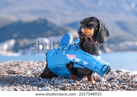 Dog in cartoon blue life jacket stands half-turned against backdrop of sea, mountains, proud watchdog lifeguard. Puppy, kid in a children camp learns to swim. Active recreation, water sports, holidays
