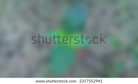 abstract photo of a combination of green and gray for art and creativity