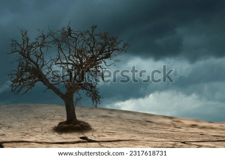 Dry tree among desert parched soil under cloudy sky. Landscape symbolizing climate change