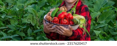 boy in the garden holding a bowl of freshly picked tomatoes. selective focus. nature