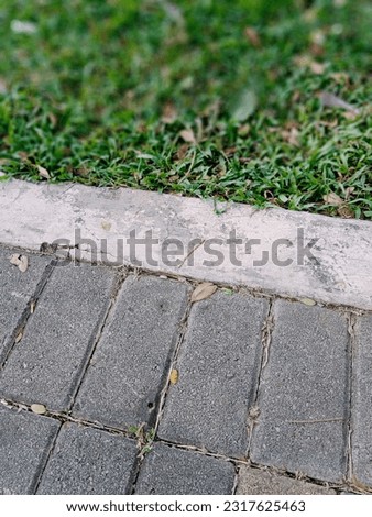 Paving stones foothpath and green grass texture 