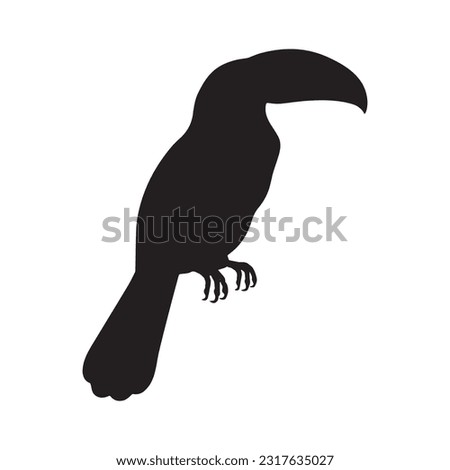 toucan silhouette set collection isolated black on white background vector illustration