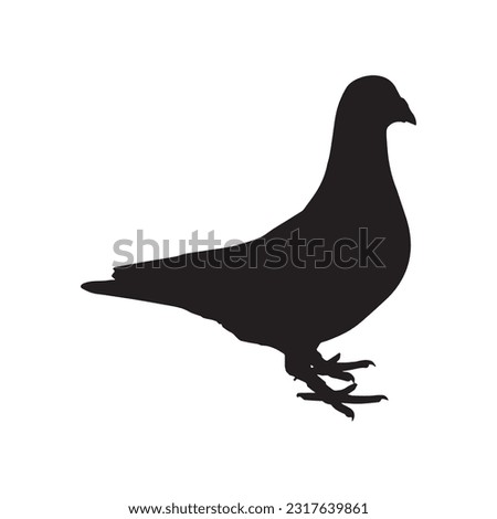 pigeon silhouette set collection isolated black on white background vector illustration