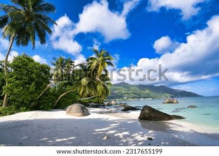 Beautiful white sandy beach, with palm, rock boulders and white sands, Mare anglaise beach, Mahe Seychelles Royalty-Free Stock Photo #2317655199