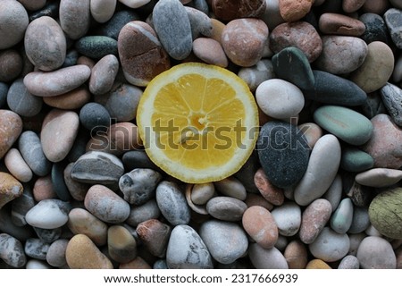 Slice Of Fresh Lemon On A Colored Pebbles Stock Photo For Wallpaper Or Backgrounds

