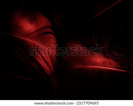 Beautiful abstract light pink feathers on black background, red feather frame on pink texture pattern, pink background, love theme wallpaper and valentines day, white gradient Royalty-Free Stock Photo #2317709695