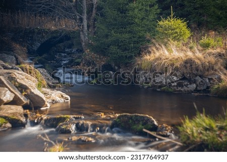 
forest stream in the mountains 
(Filipohuťský stream)
