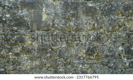 wall rock texture with mold