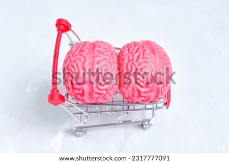Top view of two pink jelly-like human brain models placed in a tiny steel shopping trolley isolated on a concrete background. The concept of acquiring knowledge or skills at a reduced cost.