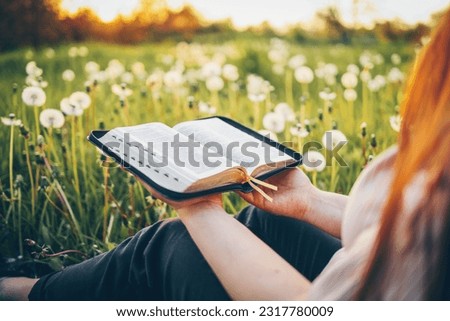 Christian woman holds bible in her hands. Reading the Holy Bible in a field during beautiful sunset. Concept for faith, spirituality and religion. Peace, hope. Royalty-Free Stock Photo #2317780009