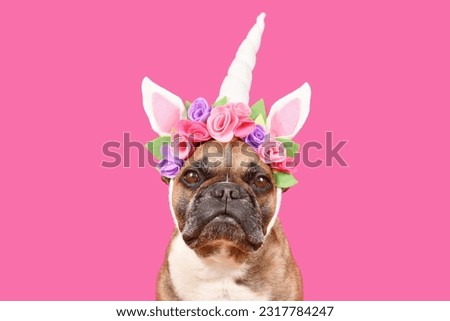 French Bulldog dog wearing unicorn costume headband with flowers in front of pink background