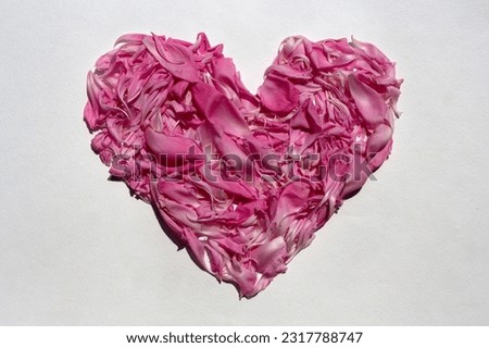 Heart made of peony petals on a white background. Symbol of love from peony petals
