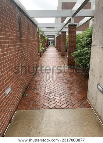 College campus Penn state university outdoor building and walk way architecture. Nittany Lion on a rainy day