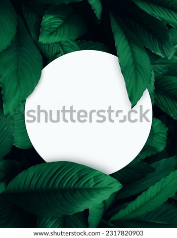 Green leaf background layout with white round corners shape. Nature concept. you can here input any text or logo 