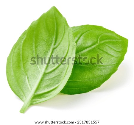Two green basil leaves on a white background with clipping path. Royalty-Free Stock Photo #2317831557