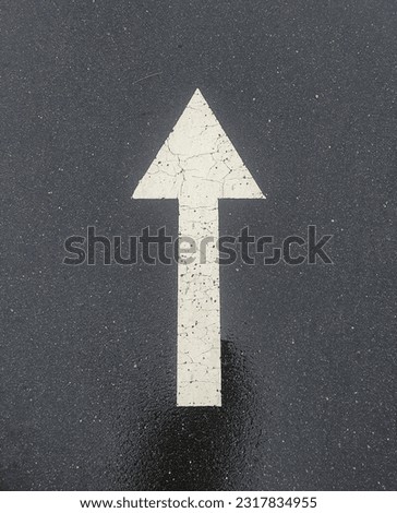 direction sign on the sidewalk.  sign on the road.  movement indicator.