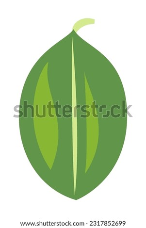 Tropical leaves and abstract exotic plant vector design elements on the white background. Flat Design jungle leaves. Nature plant tropical leaves