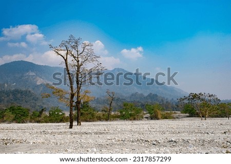 The riverbed of Jayanti river, India. Royalty-Free Stock Photo #2317857299