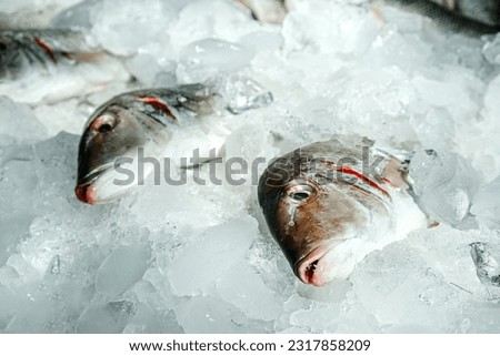 Fresh fish on ice, background picture